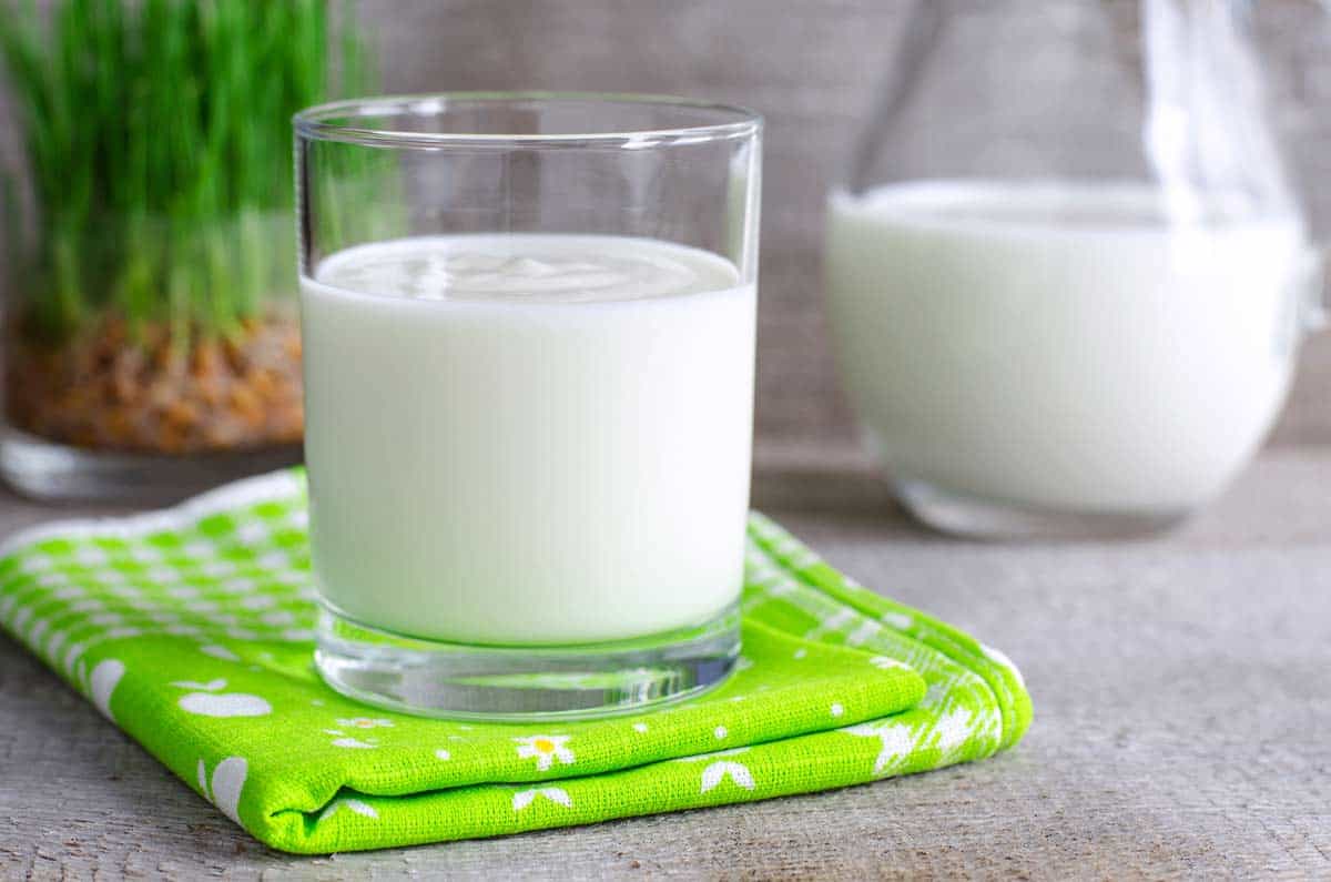 yogurt casero